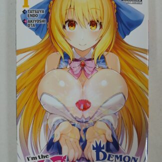 I'm the Hero, but the Demon Lord's Also Me, Vol. 1 Paperback