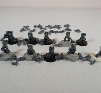 Squad of 10x Terminators Kitbashed with Space Wolf Terminator Magnetized READ