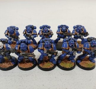 Squad of 10x Intercessors Painted Space Marines Warhammer 40K Games Workshop