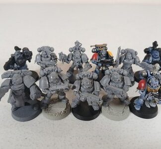 Squad of 11x Space Marine Intercessors Kitbashed With Space Wolves, 1 Captain