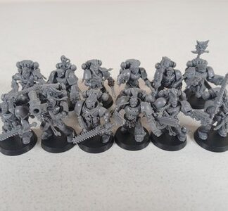 Squad of 12x Space Wolves Intercessors, 1 Captain, Space Marines Warhammer 40K