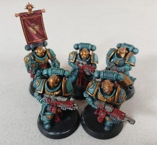 Sternguard Veteran Squad of 5x Space Marines Ultramarines Painted Assembled