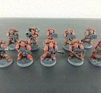 Space Marine Intercessors Tactical Squad of 10x Painted Blood Angels Warhammer