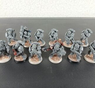 Space Marine Intercessors Tactical Squad of 11x + Captain Blood Angels Warhammer