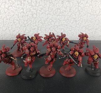 Intercessor With Jump Pack Painted Squad of 9x + Captain Blood Angels Warhammer
