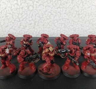 Space Marine Intercessors Tactical Squad of 11x Blood Angels Warhammer 40K GW