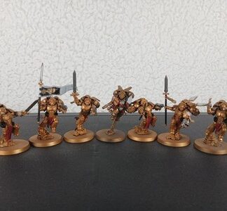 Sanguinary Guard Squad Painted of 6x + Captain 1x Blood Angels Space Marines GW