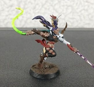Succubus Painted Drukhari Dark Eldar Warhammer 40k Games Workshop