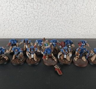 Terminators Squad of 13x, 1x Captain Space Marines Ultramarines Warhammer 40K