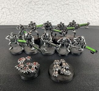 Necron Warriors Painted Magnet Squad of 10x + 2x Scarab Swarm Warhammer 40K GW