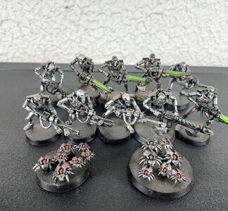 Necron Warriors Painted Magnet Squad of 10x + 2x Scarab Swarm Warhammer 40K GW