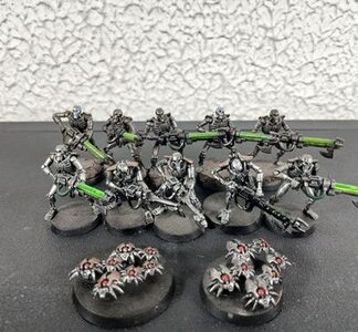 Necron Warriors Painted Magnet Squad of 10x + 2x Scarab Swarm Warhammer 40K GW