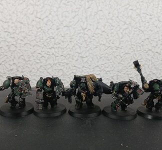 Wolf Guard Terminator Squad of 5x Painted Magnetized Space Wolves Warhammer 40K