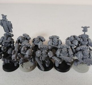 Squad of 11x Space Marine Intercessors Kitbashed With Space Wolves, 1 Captain