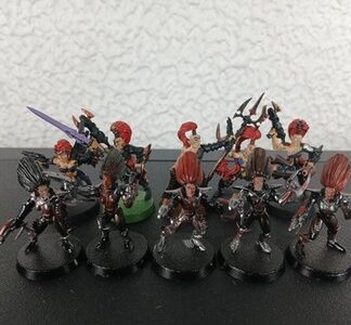 Wyches Painted Old Squad of 10x Dark Eldar Drukhari Warhammer 40K Games Workshop