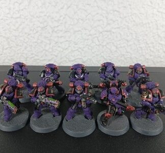 Emperor's Children Intercessors Painted Squad 10x Chaos Marine Warhammer 30K/40K