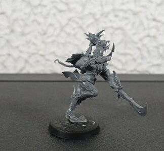 Succubus Drukhari Dark Eldar Warhammer 40K Games Workshop