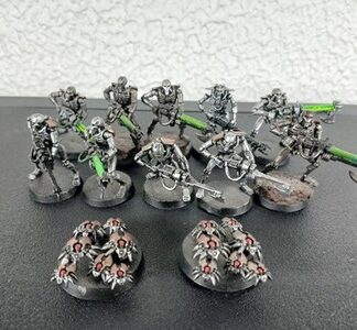 Necron Warriors Painted Magnet Squad of 10x + 2x Scarab Swarm Warhammer 40K GW
