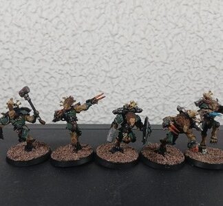 Wulfen Squad of 5x Painted Magnetized Space Wolves Warhammer 40K Games Workshop