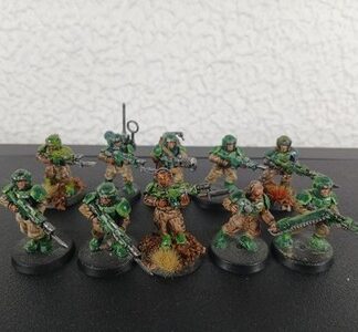 Cadian Shock Troops Painted Squad of 10x Astra Militarum Warhammer 40K GW