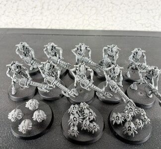Necron Warriors Random Squad of 10x + 3x Scarab Swarms, Varying Models Warhammer