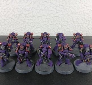 Emperor's Children Intercessors Painted Squad 10x Chaos Marine Warhammer 30K/40K