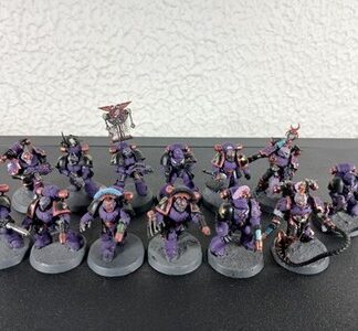 Emperor's Children Painted Kitbashed Intercessors/Characters Squad of 13x 30/40K
