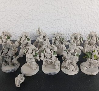 Plague Marines Primed Squad of 11x Deathguard Chaos Space Marines Warhammer 40K