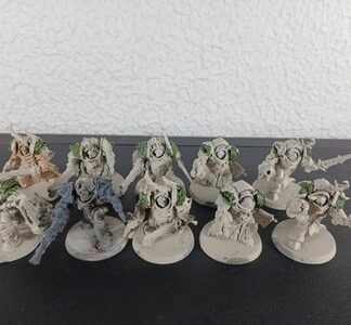 Blightlord Terminators Primed Deathguard Chaos Space Marines Warhammer 40K GW
