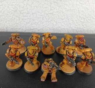 Intercessors Painted Squad of 10x Imperial Fists Space Marines Warhammer 40K