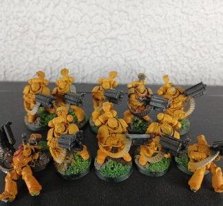 Desolation Marine Primed Squad of 10x Imperial Fists Space Marines Warhammer 40K