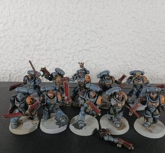 Grey Hunters Painted Squad of 10x Space Wolves Space Marines 40K GW