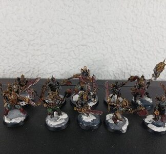Jakhals Painted Magnet Squad of 10x Chaos Space Wolves Warhammer 40K GW