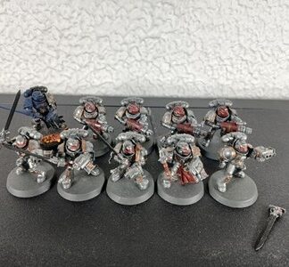 Strike/Purgation Painted Squad of 10x Grey Knights Space Marines Warhammer