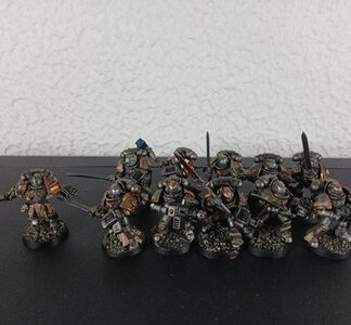 Strike/Purgation Painted Squad of 11x Grey Knights Space Marines Warhammer