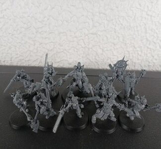 Jakhals Squad of 10x World Eaters Chaos Space Marines Warhammer 40K GW