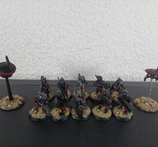Fire Warriors Painted Squad of 10x Tau Empire Warhammer 40K GW