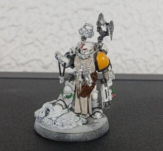 Apothecary Painted Space Marines Ultramarines Warhammer 40K Games Workshop
