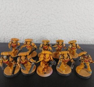 Assault Intercessors Painted Squad of 10x Iron Hands Space Marines Warhammer