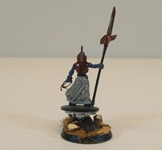 Ethereal Painted Tau Empire Warhammer 40K Games Workshop