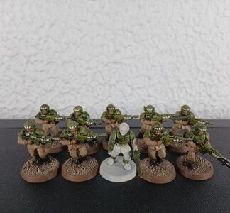 Cadian Shock Troops Painted Squad of 10x, 1x Sergeant Astra Militarum 40K GW