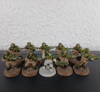Cadian Shock Troops Painted Squad of 10x, 1x Sergeant Astra Militarum 40K GW