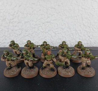 Cadian Shock Troops Painted Squad of 10x, 1x Sergeant Astra Militarum 40K GW