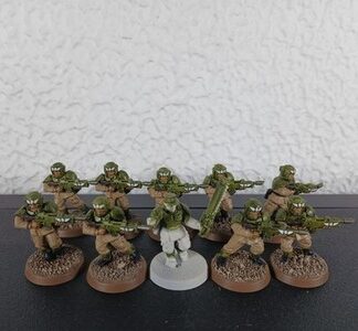 Cadian Shock Troops Painted Squad of 10x, 1x Sergeant Astra Militarum 40K GW