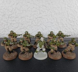 Cadian Shock Troops Painted Squad of 10x, 1x Sergeant Astra Militarum 40K GW