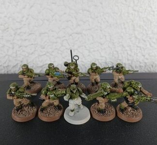 Cadian Shock Troops Painted Squad of 10x, 1x Sergeant Astra Militarum 40K GW