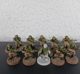 Cadian Shock Troops Painted Squad of 10x, 1x Sergeant Astra Militarum 40K GW