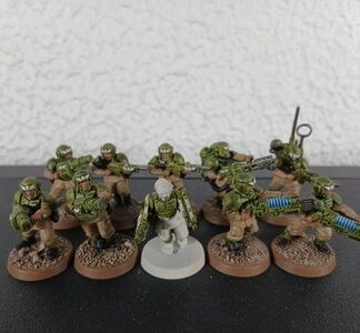 Cadian Shock Troops Painted Squad of 10x, 1x Sergeant Astra Militarum 40K GW