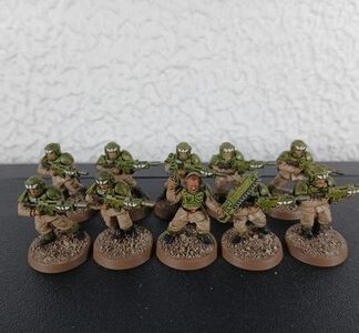 Cadian Shock Troops Painted Squad of 10x, 1x Sergeant Astra Militarum 40K GW