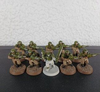 Cadian Shock Troops Painted Squad of 10x, 1x Sergeant Astra Militarum 40K GW